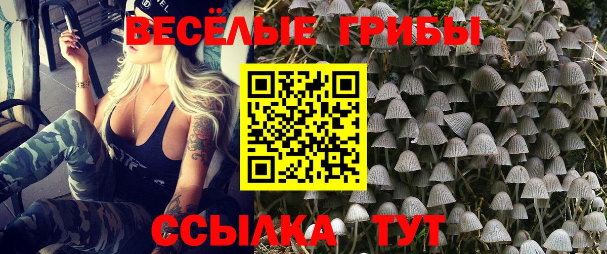Псилоцибиновые грибы прущие грибы Ярославль