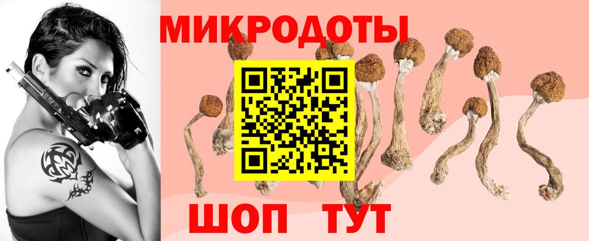 Ярославль  Галлюциногенные грибы ЛСД  Вход с VPN  Галлюциногенные грибы мухоморы 